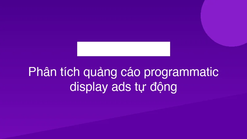 Phân tích quảng cáo programmatic display ads tự động