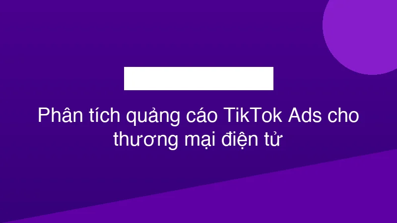 Hình ảnh minh họa Phân tích quảng cáo TikTok Ads cho thương mại điện tử
